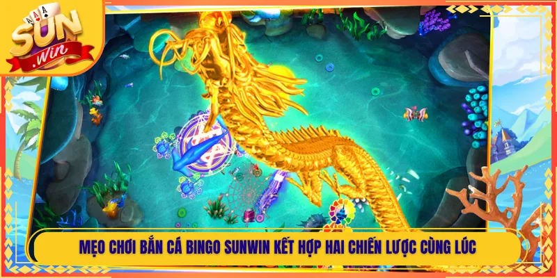 Mẹo Chơi Bắn Cá Bingo Sunwin Kết Hợp Hai Chiến Lược Cùng Lúc