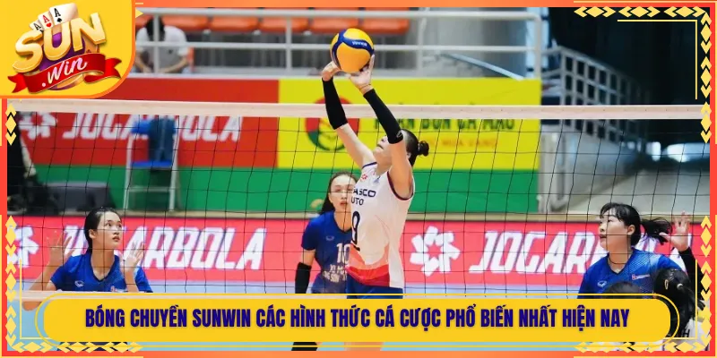 Bóng Chuyền Sunwin Các Hình Thức Cá Cược Phổ Biến Nhất Hiện Nay