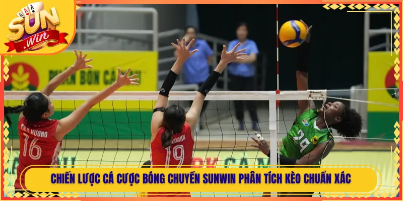 Chiến Lược Cá Cược Bóng Chuyền Sunwin Phân Tích Kèo Chuẩn Xác